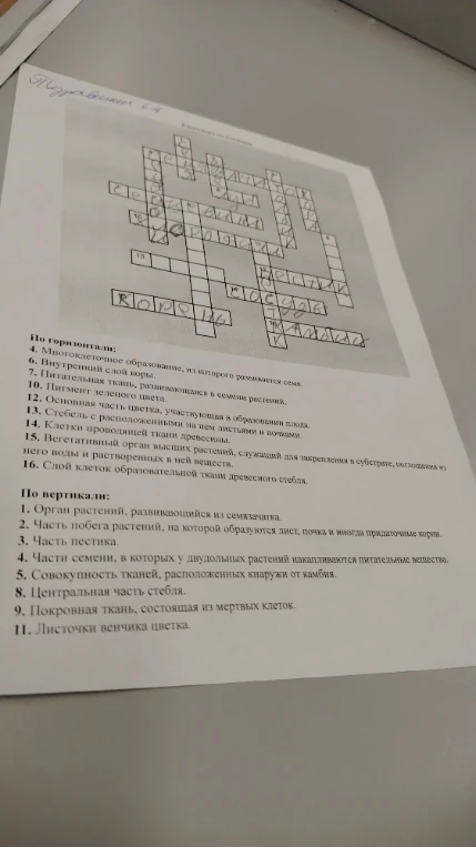 Упражнение 6-4. Кроссворд по биологии.