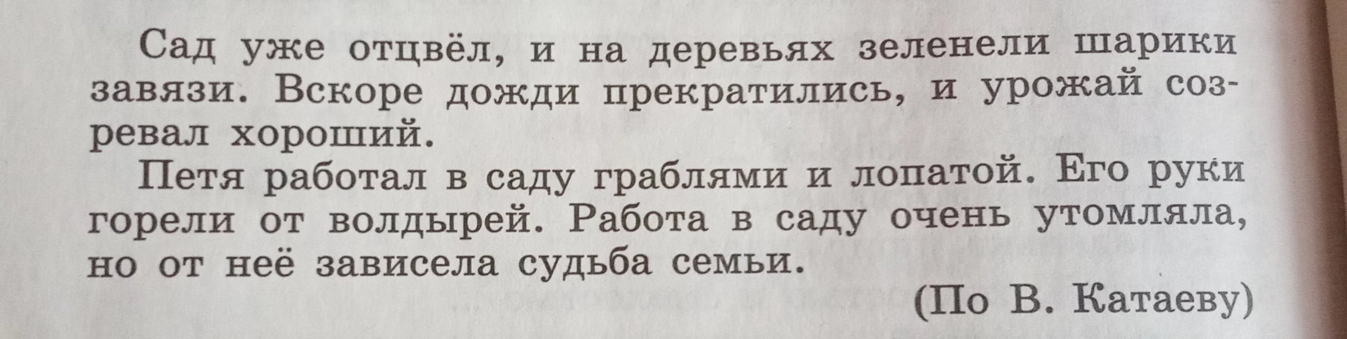 Сад уже отцвёл, и на деревьях зеленели шарики завязи. Вскоре дожди прекратились, и урожай созревал хороший.