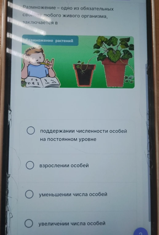 Размножение – одно из обязательных свойств любого живого организма, заключается в