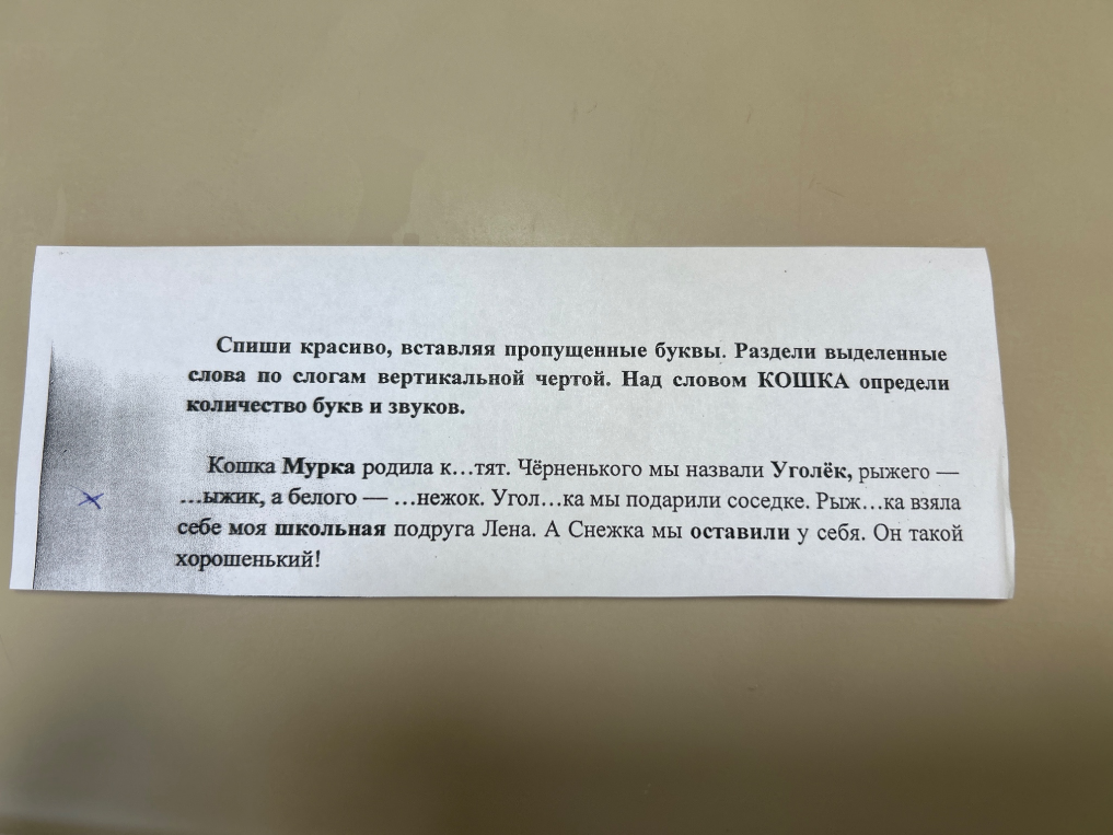 Спиши красиво, вставляя пропущенные буквы. Раздели выделенные слова по слогам вертикальной чертой. Над словом КОШКА определи количество букв и звуков.