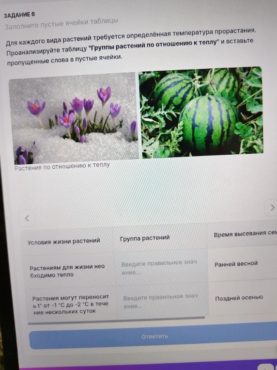 Заполните пустые ячейки таблицы. Для каждого вида растений требуется определённая температура прорастания.
