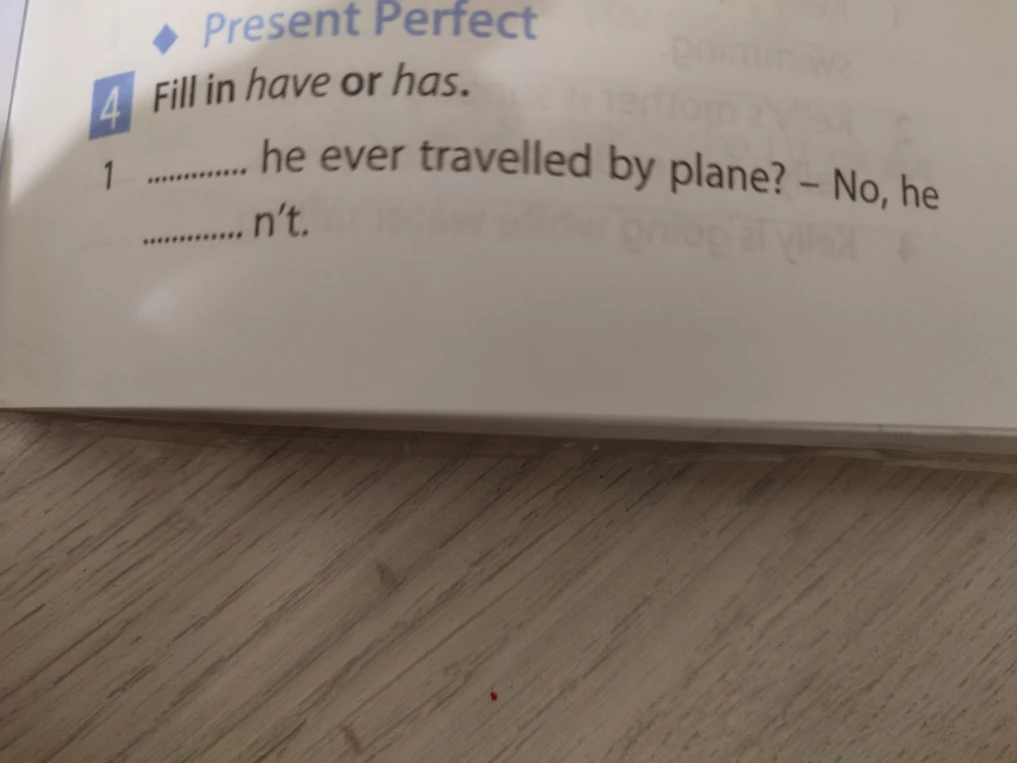 Fill in have or has.