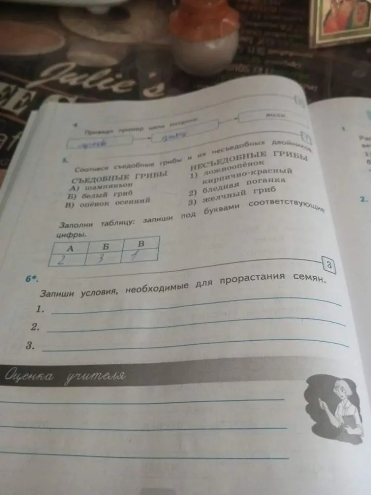 Запиши условия, необходимые для прорастания семян.