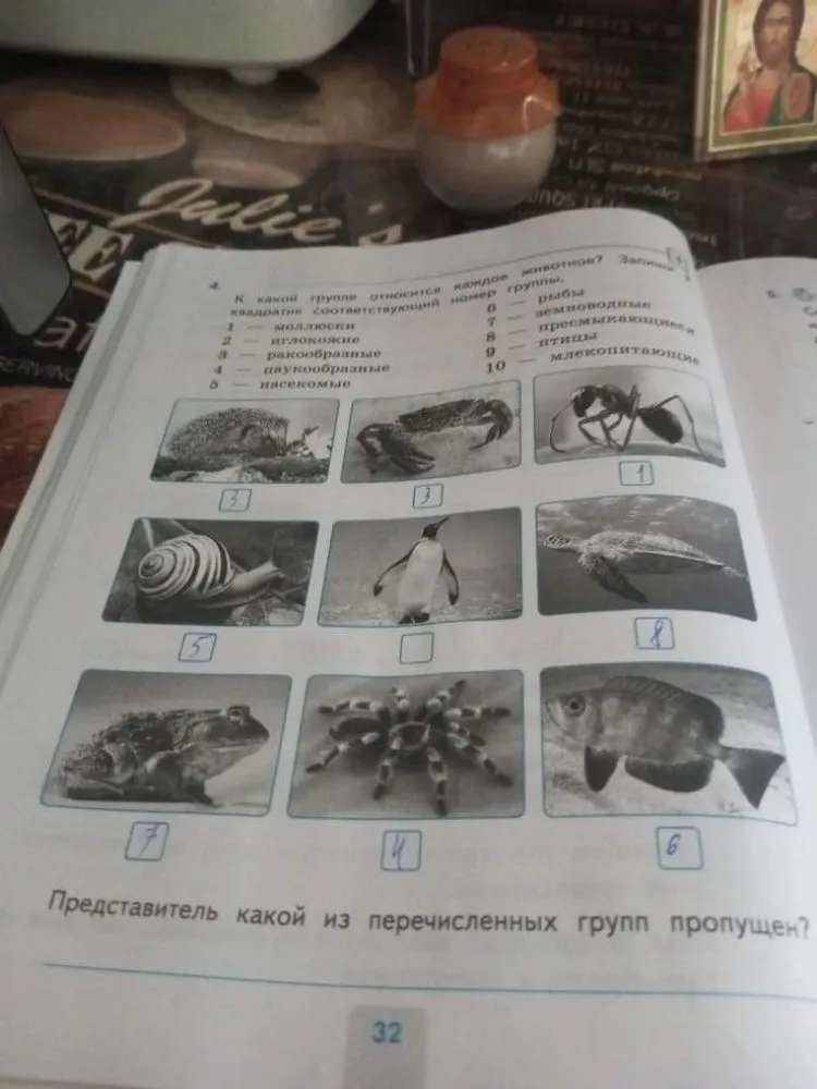 К какой группе относится каждое животное? Запиши в квадратик соответствующий номер группы.