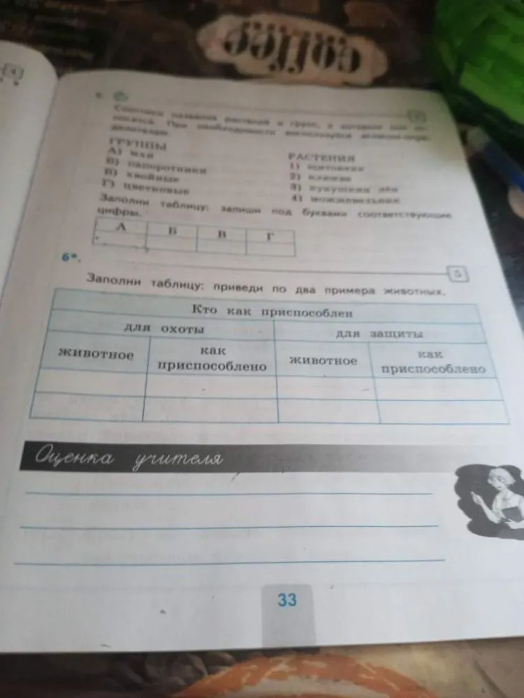 Соотнеси названия растений и групп, в которые они относятся. При необходимости воспользуйся дополнительной литературой.