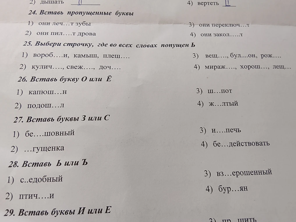 24. Вставь пропущенные буквы