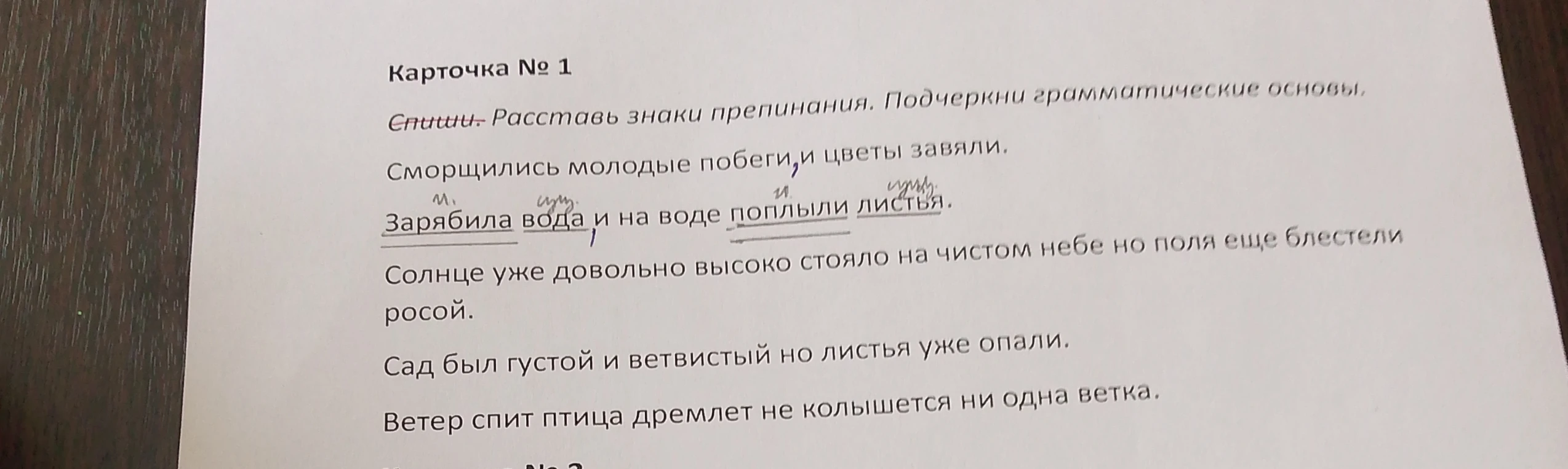 Спиши. Расставь знаки препинания. Подчеркни грамматические основы.