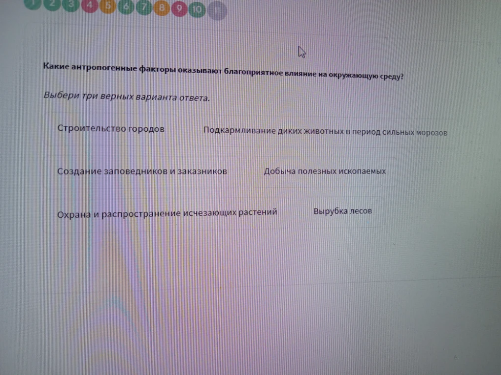 Какие антропогенные факторы оказывают благоприятное влияние на окружающую среду?