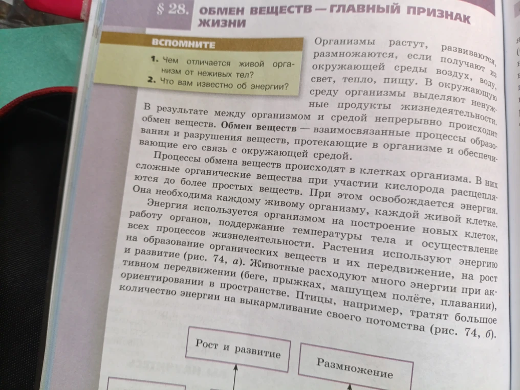 Обмен веществ — главный признак жизни