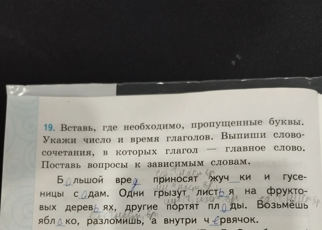 19. Вставь, где необходимо, пропущенные буквы. Укажи число и время глаголов. Выпиши словосочетания, в которых глагол — главное слово. Поставь вопросы к зависимым словам.