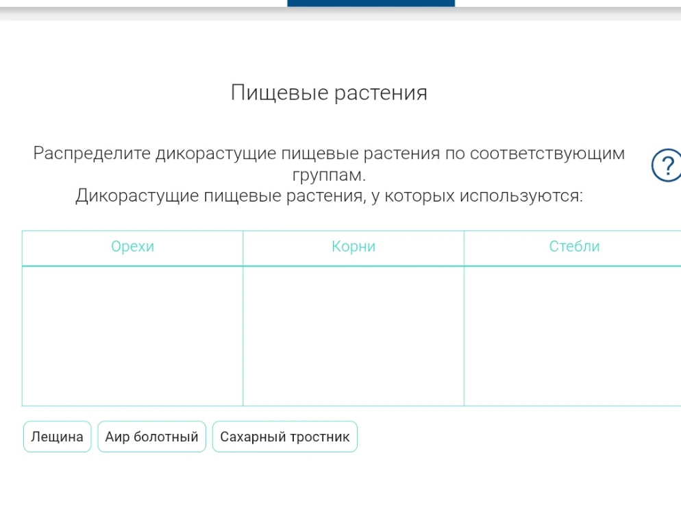 Распределите дикорастущие пищевые растения по соответствующим группам.