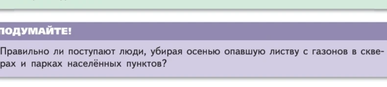 Правильно ли поступают люди, убирая осенью опавшую листву с газонов в скверах и парках населённых пунктов?