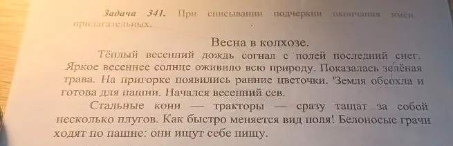 Задача 341. При списывании подчеркни окончания имён прилагательных.