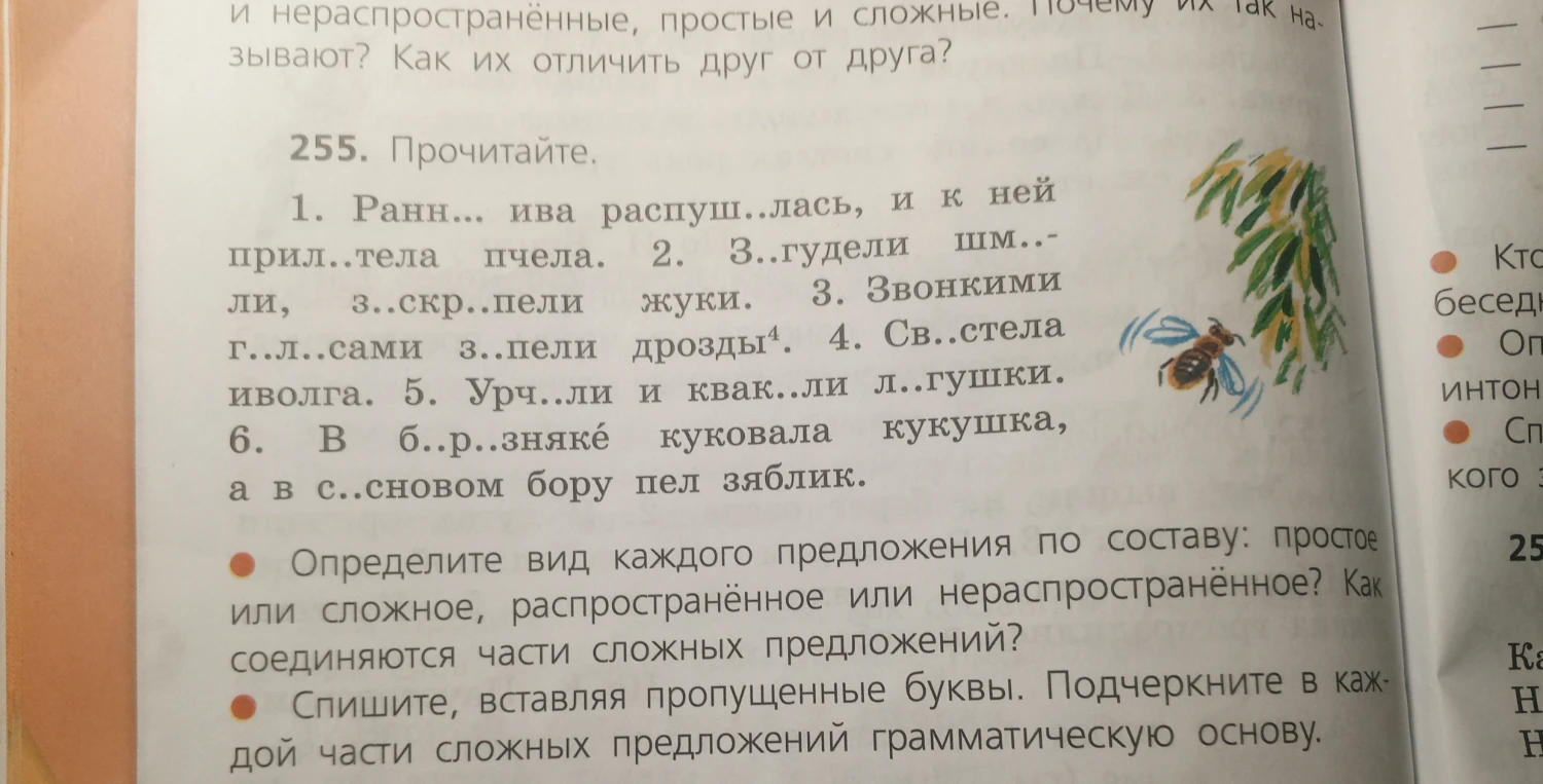 255. Прочитайте. 1. Ранн... ива распуш..лась, и к ней прил..тела пчела. 2. З..гудели шм..ли, з..скр..пели жуки. 3. Звонкими г..л..сами з..пели дрозды4. 4. Св..стела иволга. 5. Урч..ли и квак..ли л..гушки. 6. В б..р..зняке куковала кукушка, а в с..сновом бору пел зяблик.