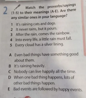Match the proverbs/sayings (1-5) to their meanings (A-E). Are there any similar ones in your language?