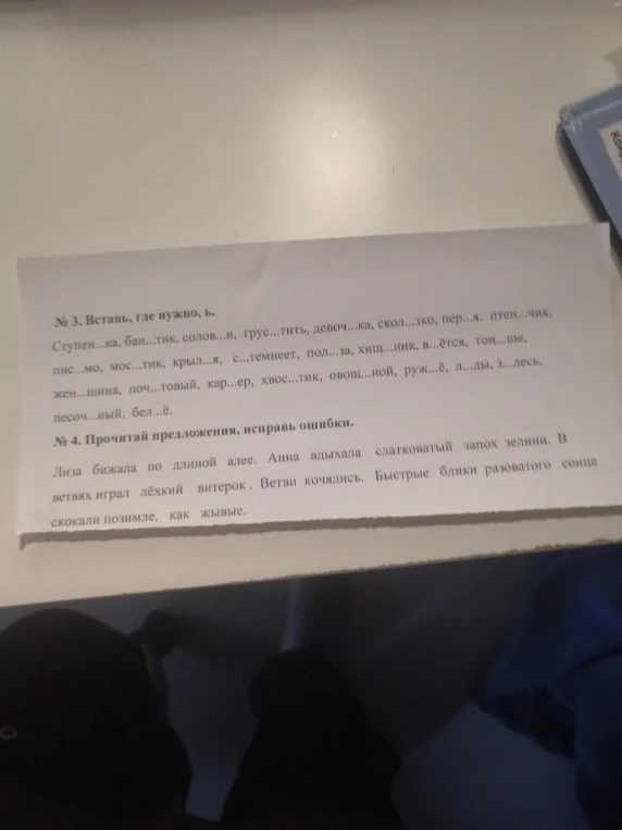 № 3. Вставь, где нужно, ь. Ступен...ка, бан...тик, солов...и, грус...тить, девоч...ка, скол...зко, пер...я, птен...чик, пис...мо, мос...тик, крыл...я, с...темнеет, пол...за, хищ...ник, в...ётся, тон...ше, жен...шина, поч...товый, кар...ер, хвос...тик, овощ...ной, руж...ё, л...ды, з...десь, песоч...ный, бел...ё.