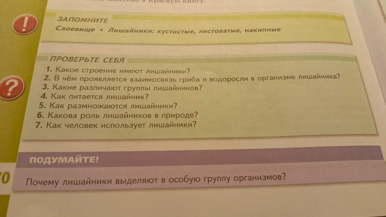 1. Какое строение имеют лишайники?