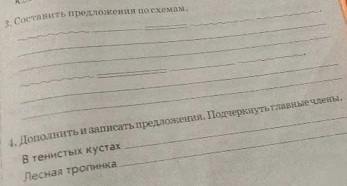 3. Составить предложения по схемам.