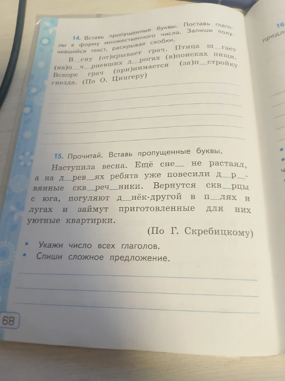 14. Вставь пропущенные буквы. Поставь глаголы в форму множественного числа. Запиши получившийся текст, раскрывая скобки.