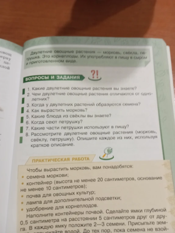 1. Какие двулетние овощные растения вы знаете?