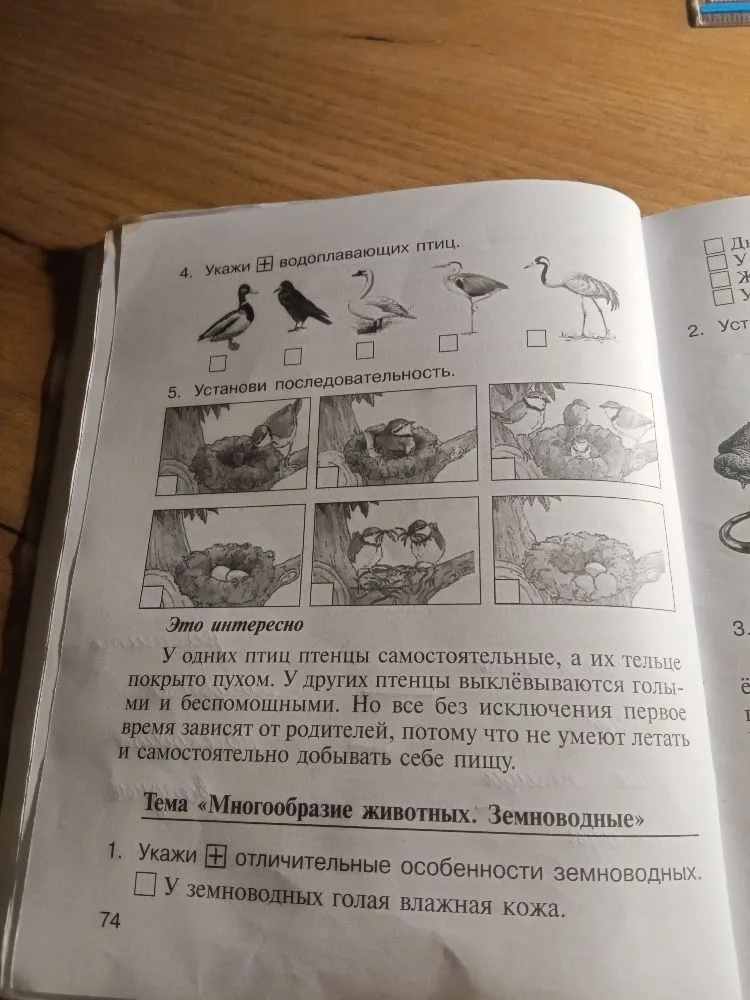 4. Укажи водоплавающих птиц. 5. Установи последовательность. Тема «Многообразие животных. Земноводные» 1. Укажи отличительные особенности земноводных.