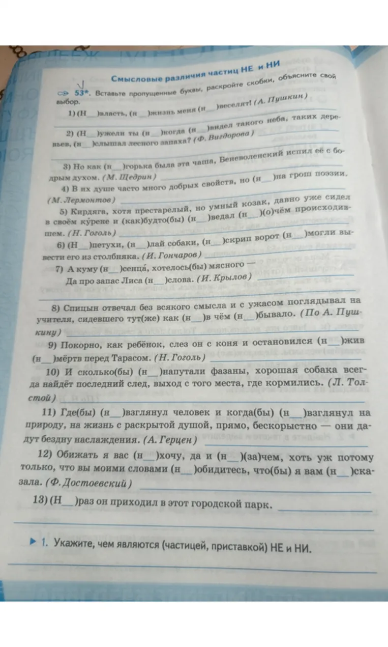 53*. Вставьте пропущенные буквы, раскройте скобки, объясните свой выбор.