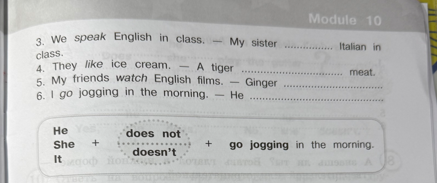 3. We speak English in class. — My sister ............... Italian in class.