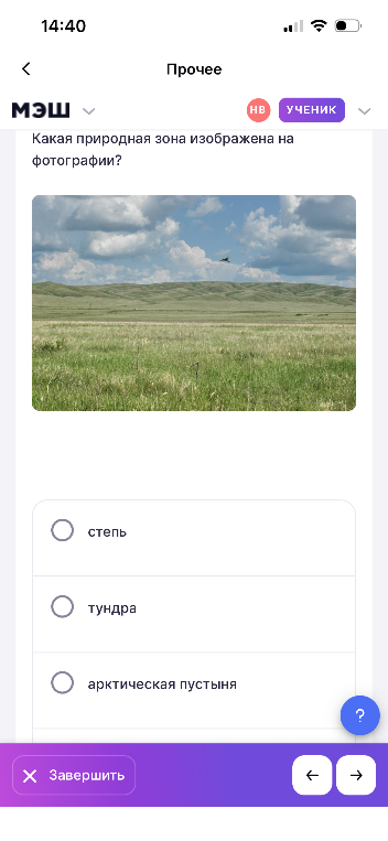 Какая природная зона изображена на фотографии?