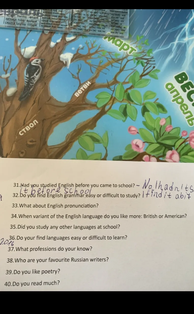 33. What about English pronunciation?