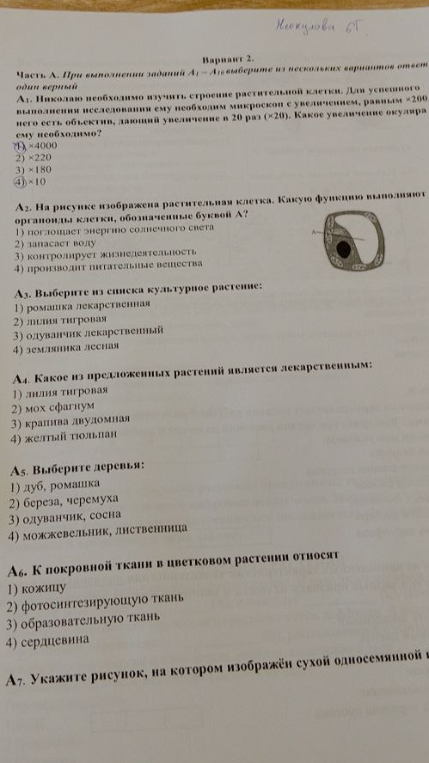 Николаю необходимо изучить строение растительной клетки. Для успешного выполнения исследования ему необходим микроскоп с увеличением, равным 200. У него есть объектив, дающий увеличение в 20 раз (×20). Какое увеличение окуляра ему необходимо?