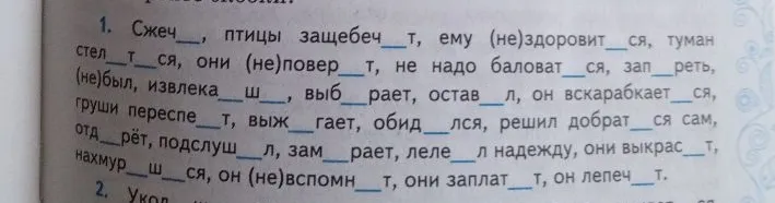 1. Сжеч__, птицы защебеч__т, ему (не)здоровит__ся, туман стел__т__ся, они (не)повер__т, не надо баловат__ся, зап__реть, (не)был, извлека__ш__, выб__рает, остав__л, он вскарабкает__ся, груши переспе__т, выж__гает, обид__лся, решил добрат__ся сам, отд__рёт, подслуш__л, зам__рает, леле__л надежду, они выкрас__т, нахмур__ш__ся, он (не)вспомн__т, они заплат__т, он лепеч__т.
