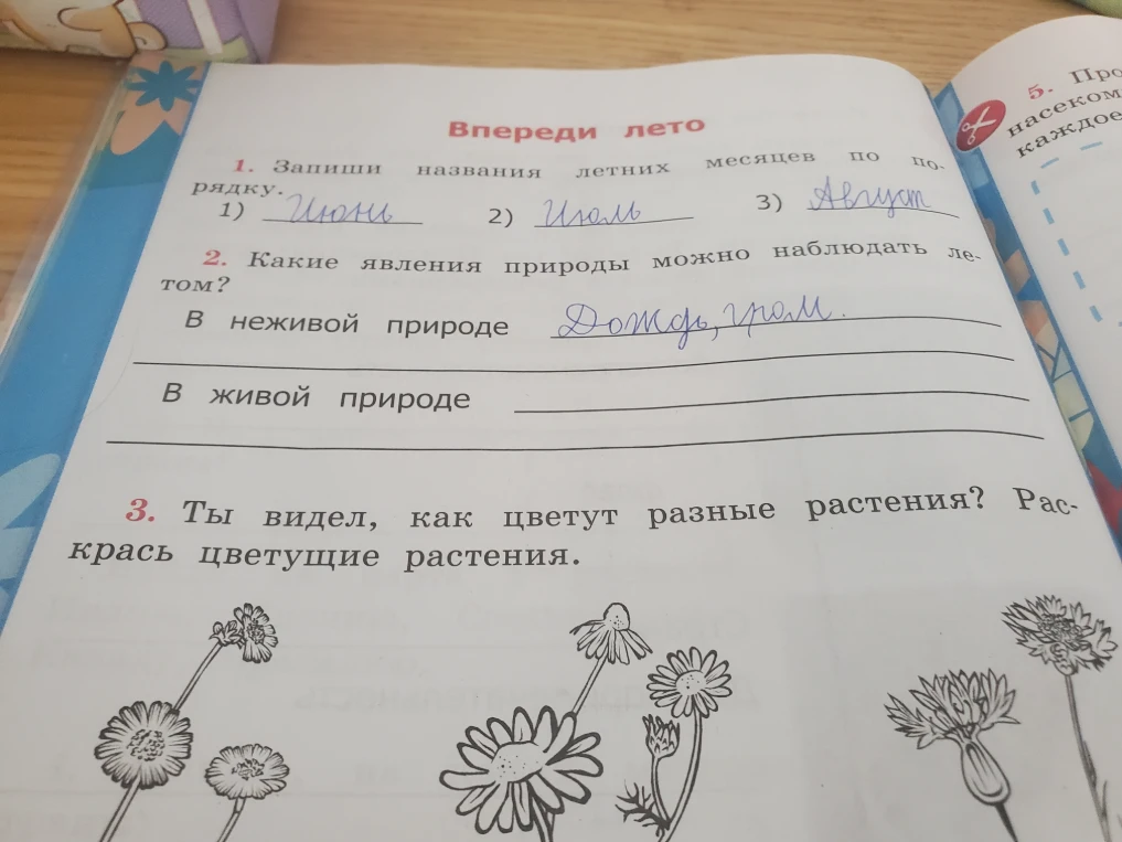Какие явления природы можно наблюдать летом? В неживой природе Дождь, гром. В живой природе