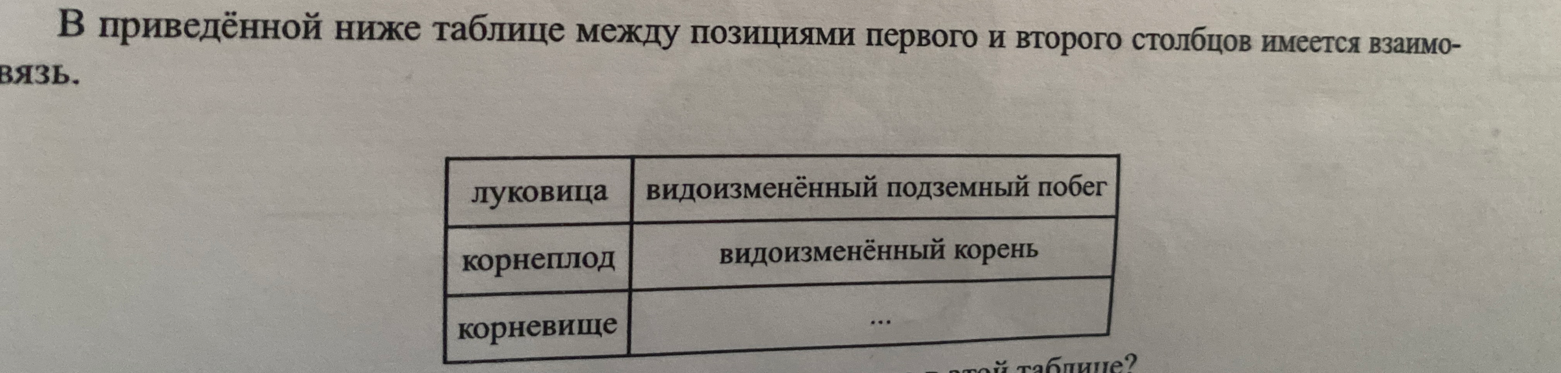 В приведённой ниже таблице между позициями первого и второго столбцов имеется взаимосвязь. Луковица — видоизменённый подземный побег. Корнеплод — видоизменённый корень. Корневище — ...