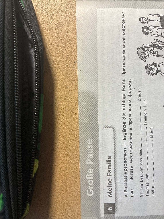 a Possessivpronomen — Ergänze die richtige Form.