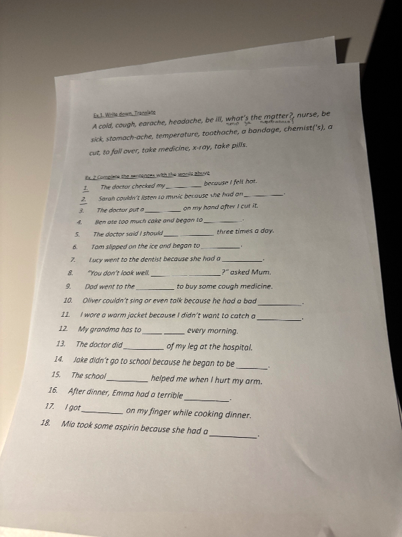 Complete the sentences with the words above