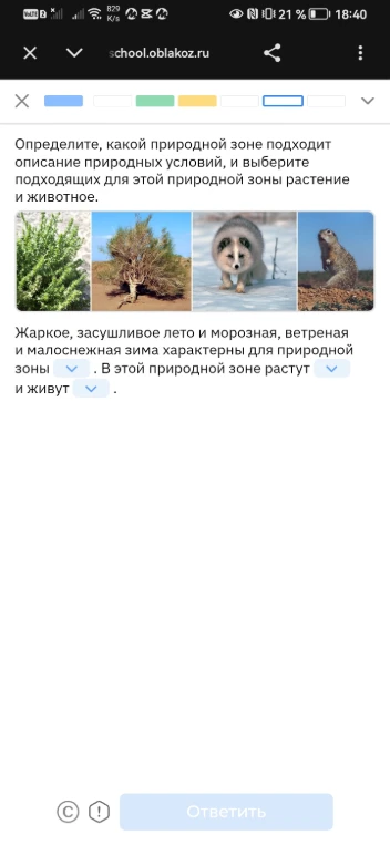 Определите, какой природной зоне подходит описание природных условий, и выберите подходящих для этой природной зоны растение и животное.