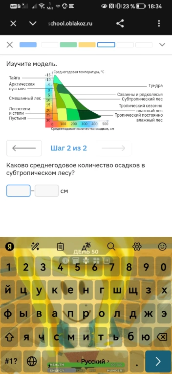 Каково среднегодовое количество осадков в субтропическом лесу?