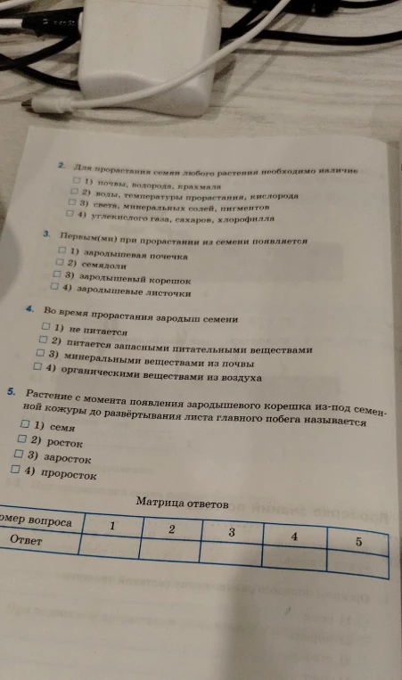 Для прорастания семян любого растения необходимо наличие