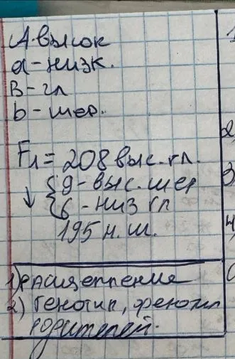 А-высок, а-низк, В-гл, b-шер. F1=208 выс.гл., 9 выс.шер, 6 низ гл, 195 н.ш. 1) расщепление 2) генотип, фенотип родителей.