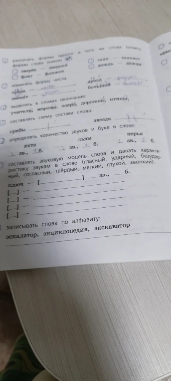определять количество звуков и букв в слове