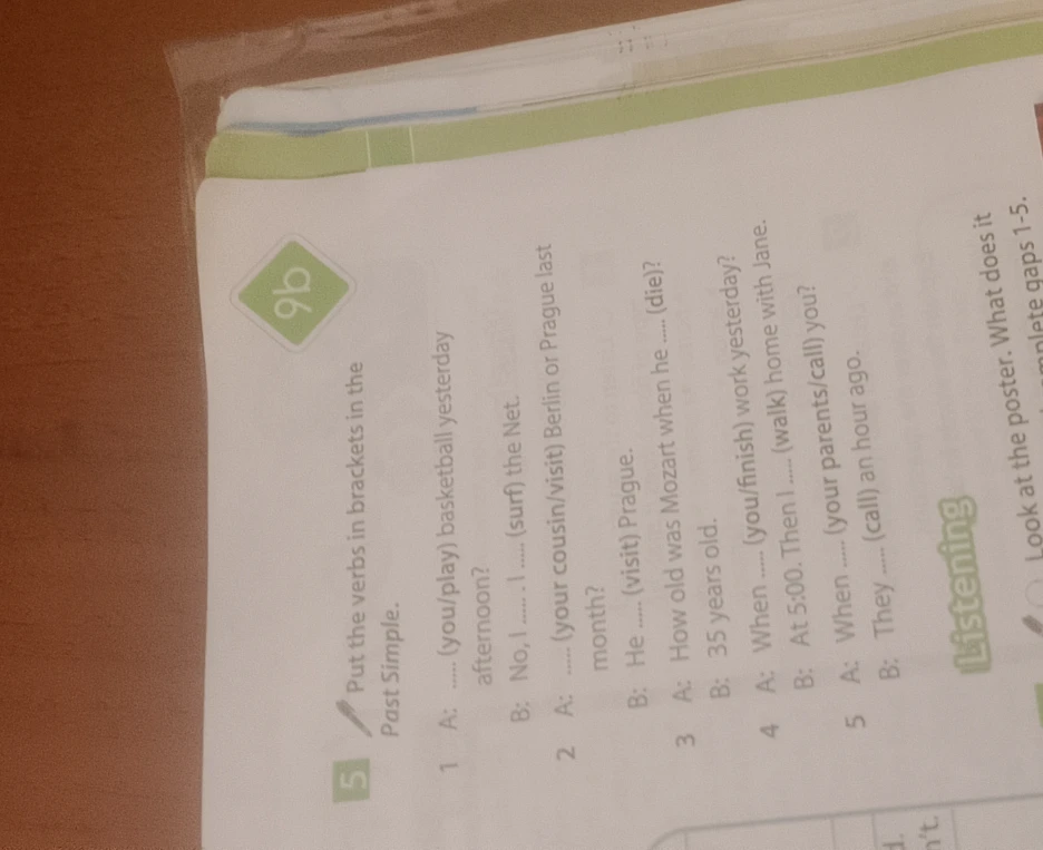 Put the verbs in brackets in the Past Simple.