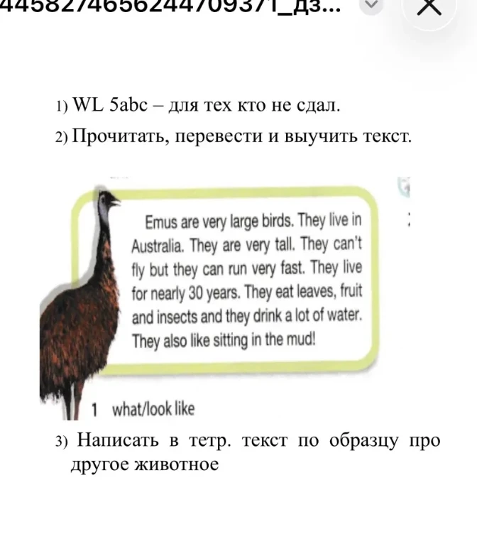Прочитать, перевести и выучить текст.