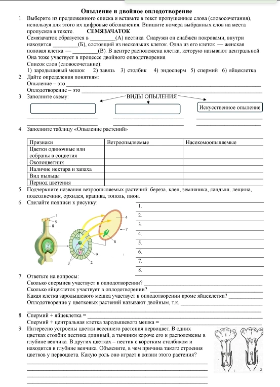 Выберите из предложенного списка и вставьте в текст пропущенные слова (словосочетания), используя для этого их цифровые обозначения. Впишите номера выбранных слов на места пропусков в тексте. СЕМЯЗАЧАТОК