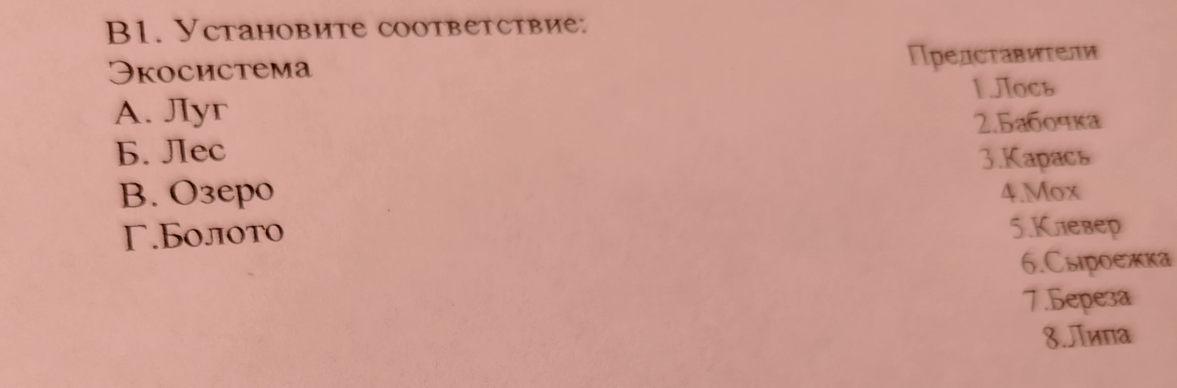 В1. Установите соответствие: Экосистема А. Луг Б. Лес В. Озеро Г.Болото