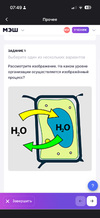 Рассмотрите изображение. На каком уровне организации осуществляется изображённый процесс?