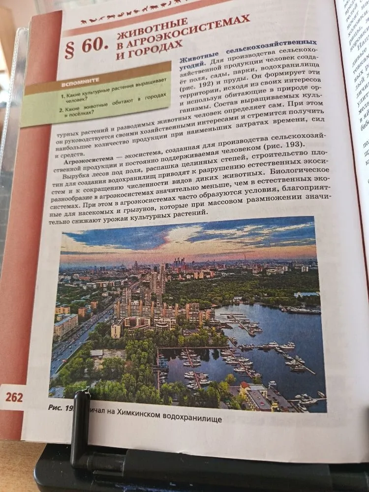 1. Какие культурные растения выращивает человек? 2. Какие животные обитают в городах и посёлках?