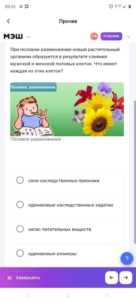 При половом размножении новый растительный организм образуется в результате слияния мужской и женской половых клеток. Что имеет каждая из этих клеток?