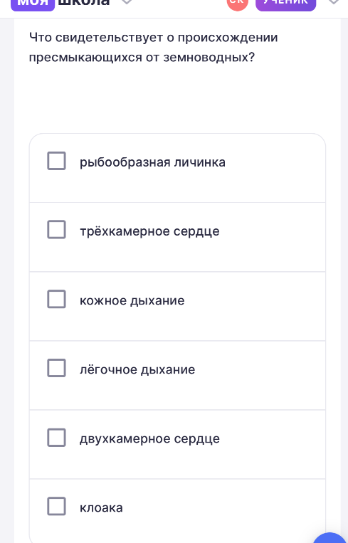 Что свидетельствует о происхождении пресмыкающихся от земноводных?