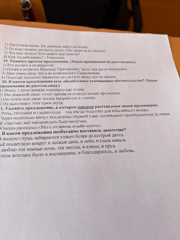 19. Укажите простое предложение. (Знаки препинания не расставлены.)