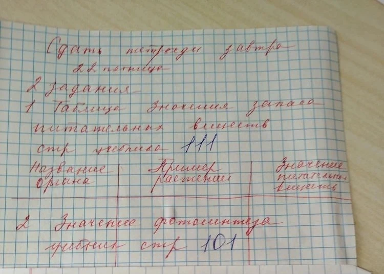 1. Таблица Значение запаса питательных веществ стр учебника 111. Название органа, Пример растений, Значение питательных веществ 2. Значение фотосинтеза учебник стр 101